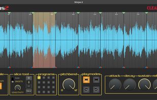 Ninjas2 screenshot 2
