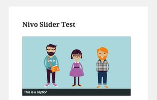 Nivo Slider screenshot 3