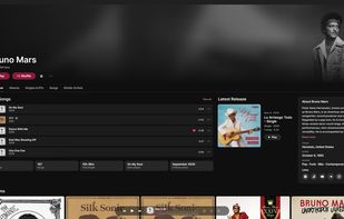 Artist page