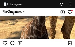 Nora App screenshot 1
