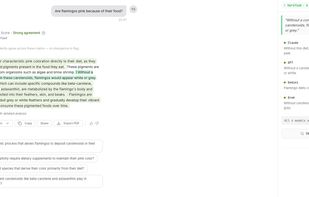 NoParrot screenshot 2