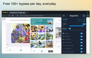 NopeCHA screenshot 1