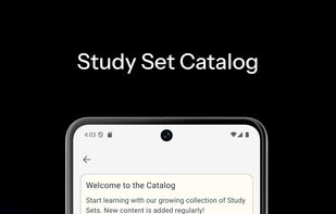 Normata Flip screenshot 3
