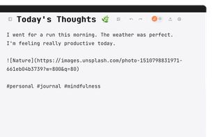 WHAT YOU SEE IS WHAT YOU GET
Write at the speed of thought.
Don't waste time switching between 'edit' and 'preview' modes. Toggle instantly between viewing and editing. Headings, bold text, lists, and images style themselves seamlessly.