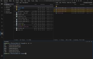 TUI and GUI versions