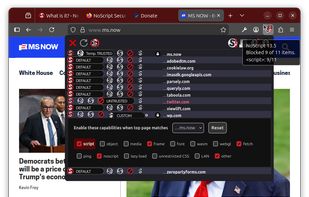 NoScript screenshot 2