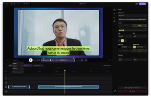 Multilingual captions — author, switch languages, export SRT