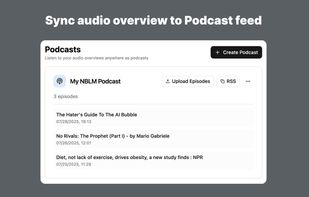 NotebookLM Web Importer screenshot 3