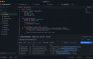 Main editor workspace with tabs, text/code editing, and batch search across the workspace.