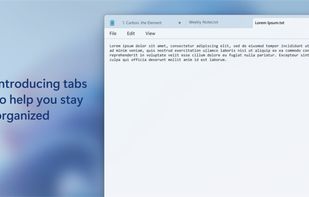 Windows Notepad screenshot 1