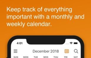 NotePlan screenshot 3