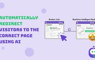 Automatic redirection of visitors