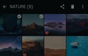 Nothing Gallery (Unofficial) screenshot 3