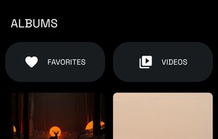 Nothing Gallery (Unofficial) screenshot 1