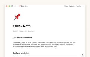 Notion screenshot 1