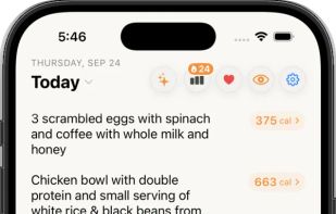 Notes-style daily log: type what you ate, get calories and macros
