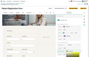 Form Builder — Theme & styling.