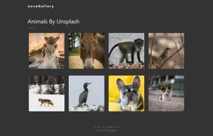 novaGallery screenshot 1