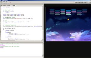 C++ or JAVA Programming.