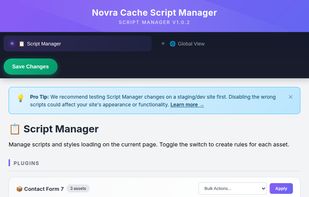 Script Manager