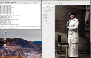 Showing query results.