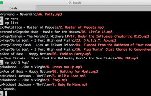 npshell screenshot 2