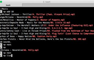 npshell screenshot 1