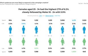 Age-Gender Segmentation Analysis