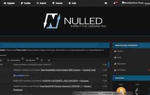 Nulled.to screenshot 1