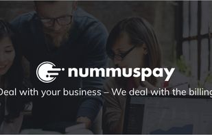 Nummuspay.com screenshot 1