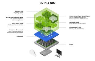 NVIDIA NIM screenshot 1