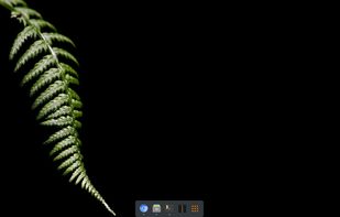 nwg-dock screenshot 1