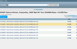 NZBFriends screenshot 2