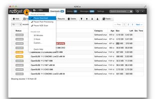 NZBGet screenshot 3
