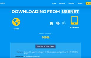 The download page where download will be prepared, decoded and after downloaded.