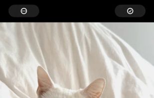 Obscura - Studio screenshot 1