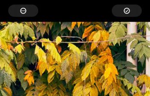 Obscura - Studio screenshot 1