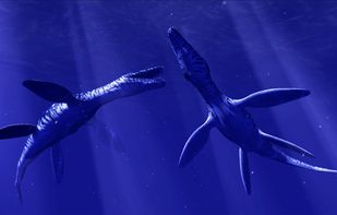 Ocean Rift screenshot 3