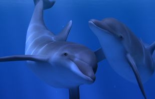 Ocean Rift screenshot 1