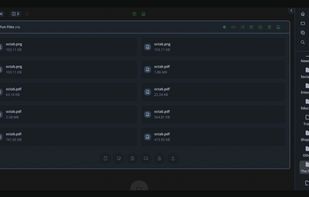 Comprehensive File Management