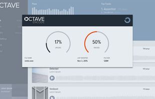 Octave screenshot 1
