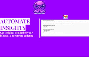 Octo AI screenshot 2