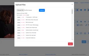 Upload any video or audio files