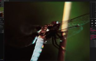 Oculante screenshot 1