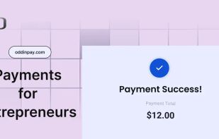 Payments for entrepreneurs.