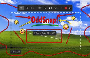 OddSnap screenshot 1