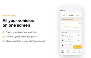 Odovo screenshot 3
