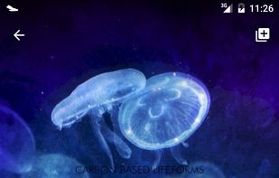 Odyssey screenshot 3