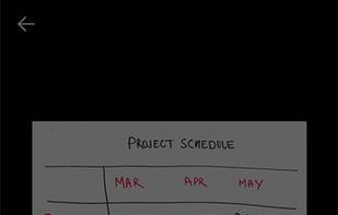 Microsoft Lens screenshot 1