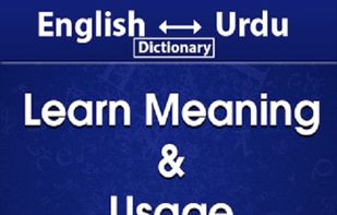 Offline English Urdu Dictionary screenshot 2